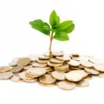 Solar PV Panel Grants